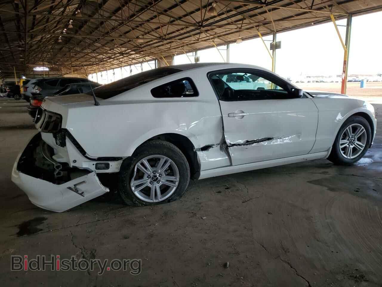 2013 FORD ALL Models - VIN: 1ZVBP8AM4D5262632 - Фото 3