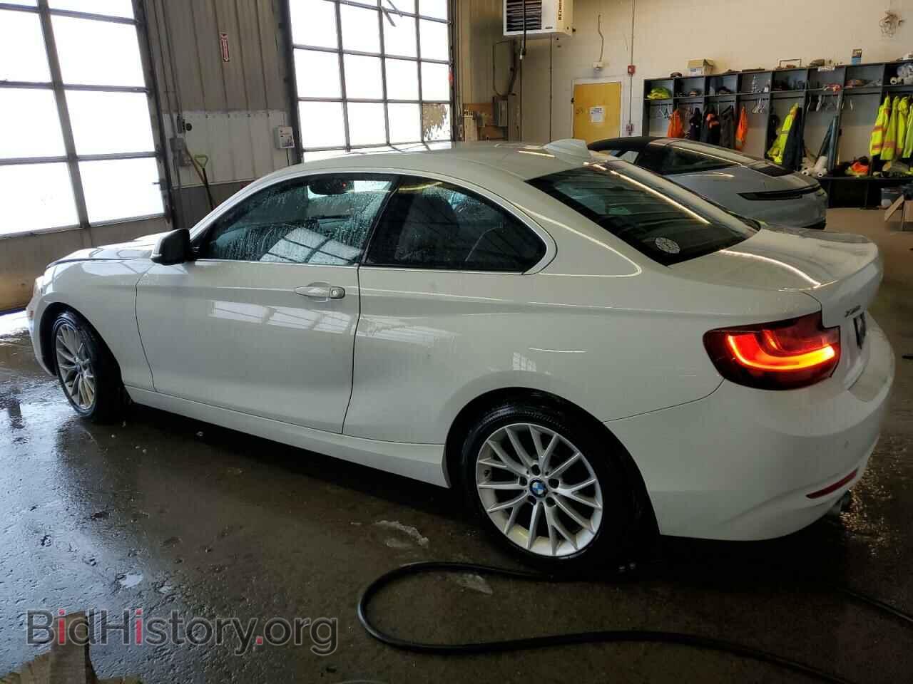 2015 BMW 2 SERIES - VIN: WBA1G9C50FVX96706 - Фото 2