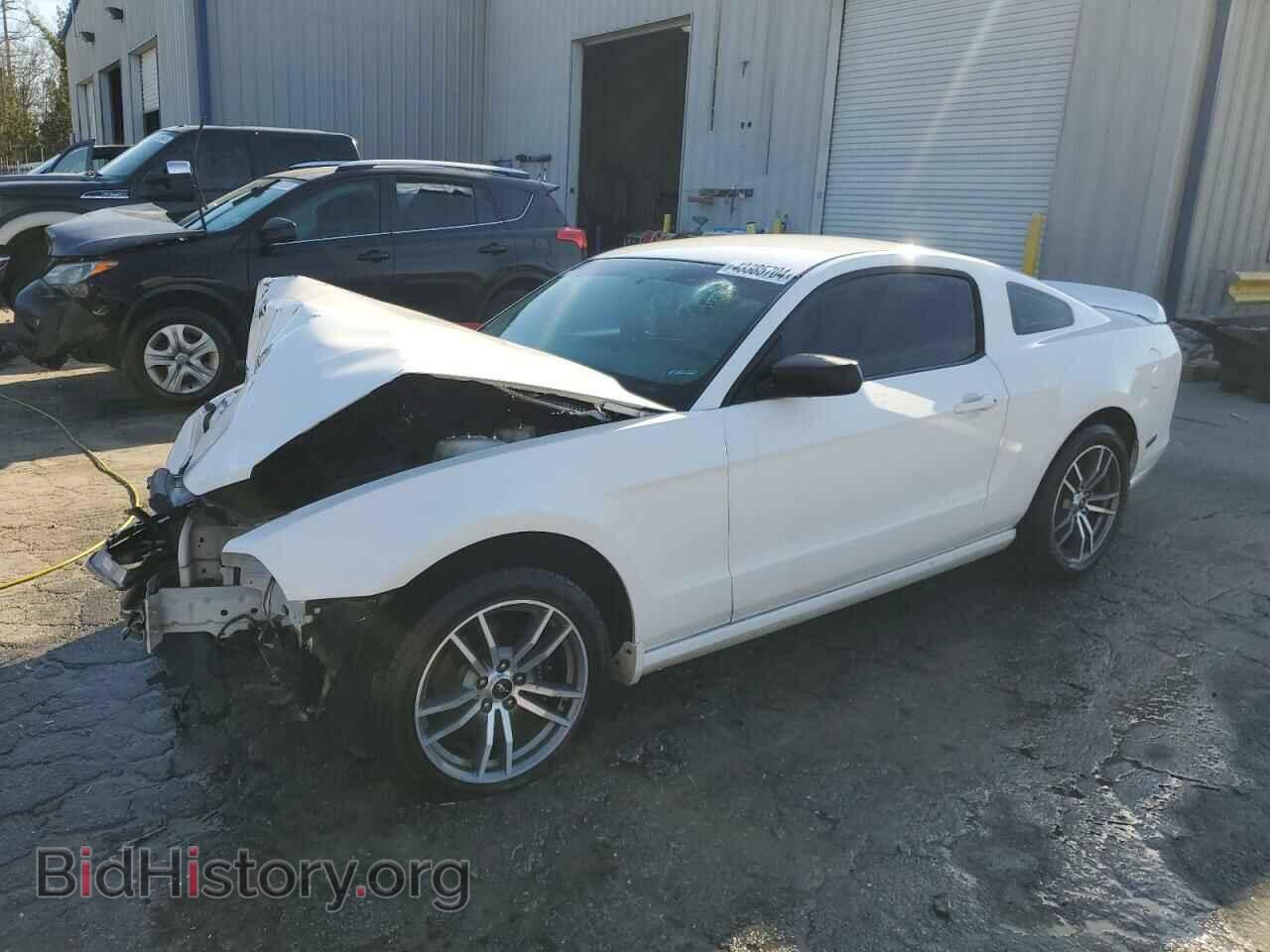 Photo 1ZVBP8AM4D5265188 - FORD ALL Models 2013