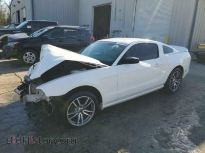 2013 Ford ALL MODELS, white — VIN 1ZVBP8AM4D5265188, Copart