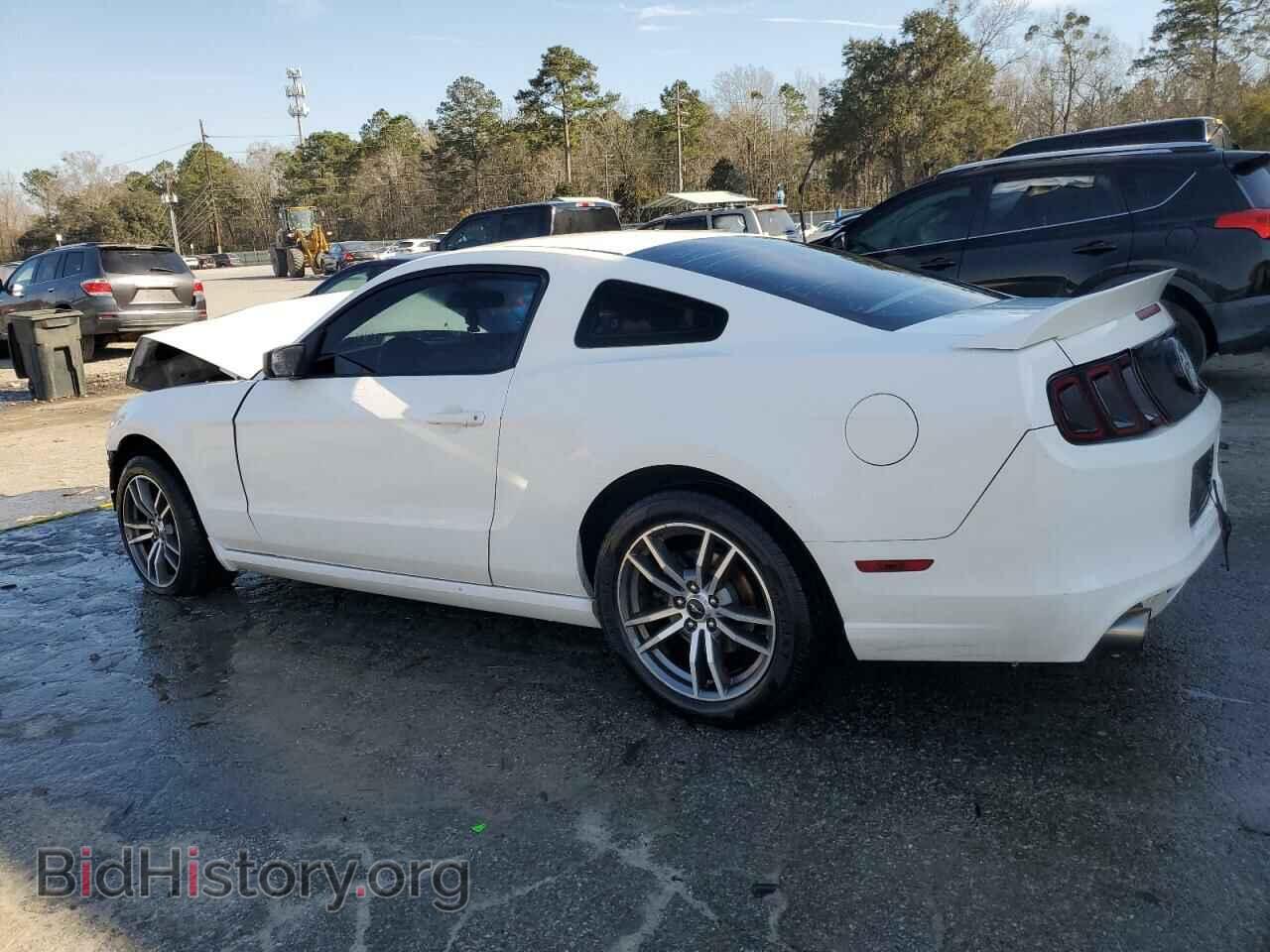 2013 FORD ALL Models - VIN: 1ZVBP8AM4D5265188 - Photo 2