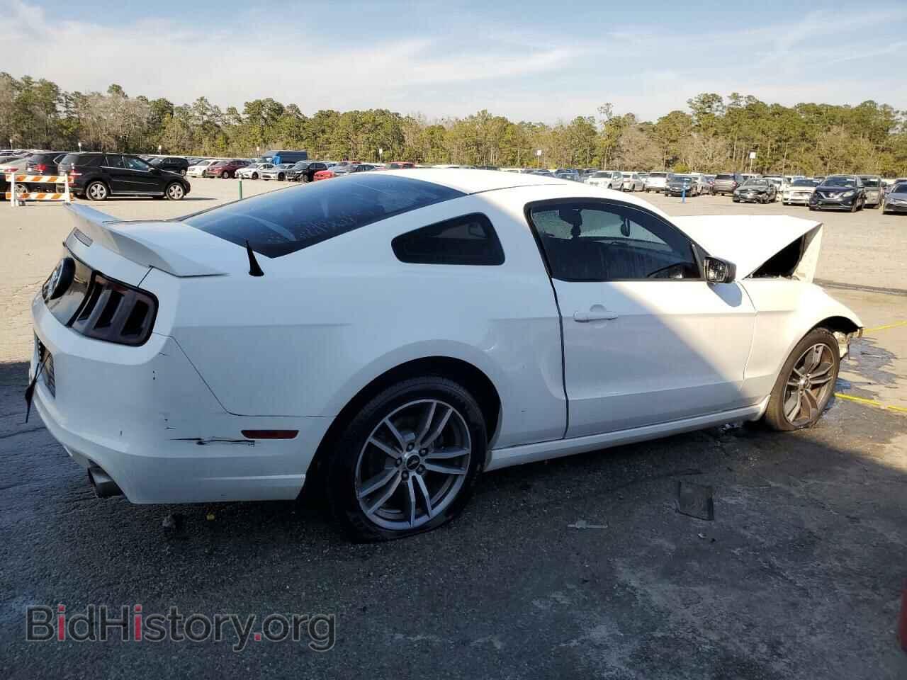 2013 FORD ALL Models - VIN: 1ZVBP8AM4D5265188 - Photo 3