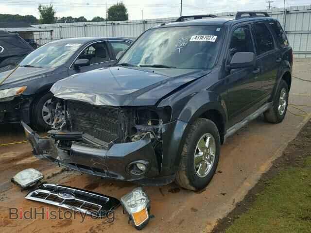 2009 FORD ESCAPE - VIN: 1FMCU03719KC38849 - Фото 2