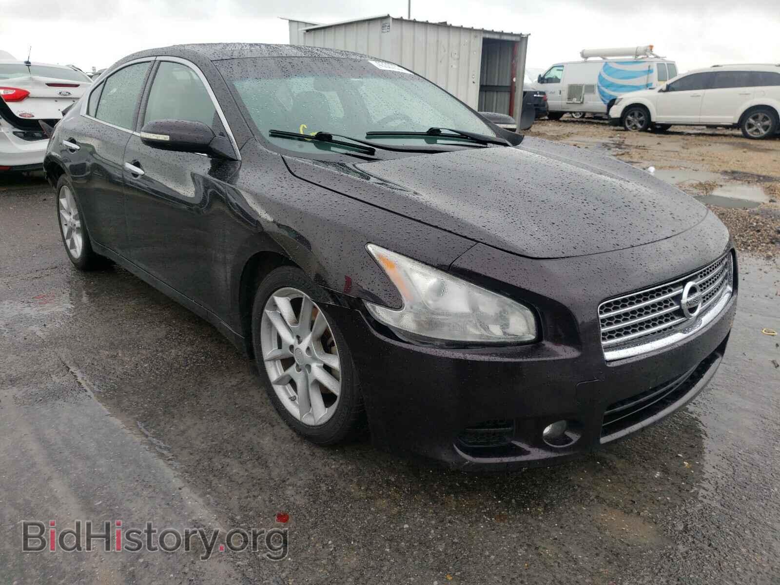 Photo 1N4AA5AP8AC822156 - NISSAN MAXIMA 2010
