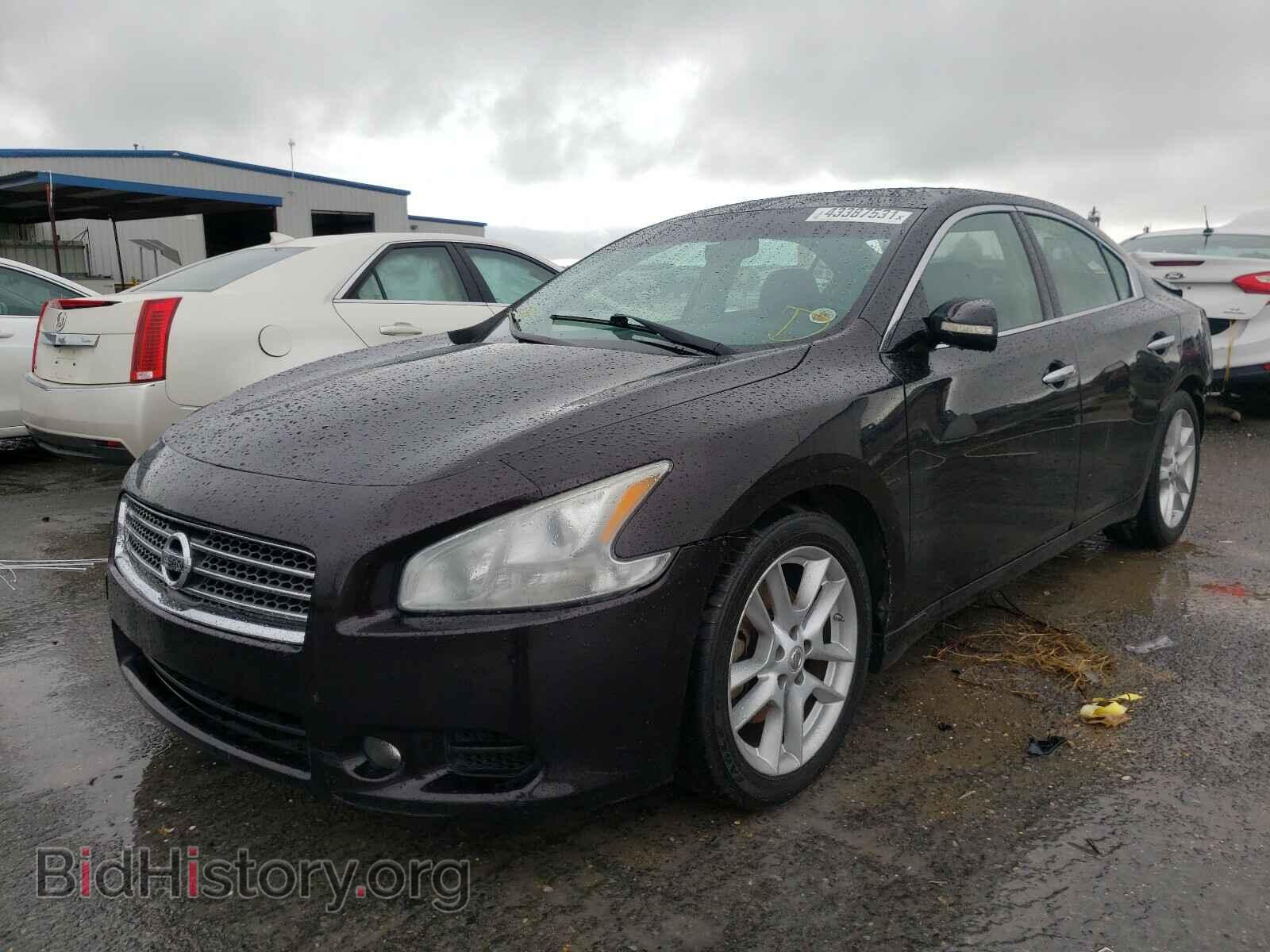 2010 NISSAN MAXIMA - VIN: 1N4AA5AP8AC822156 - Фото 2