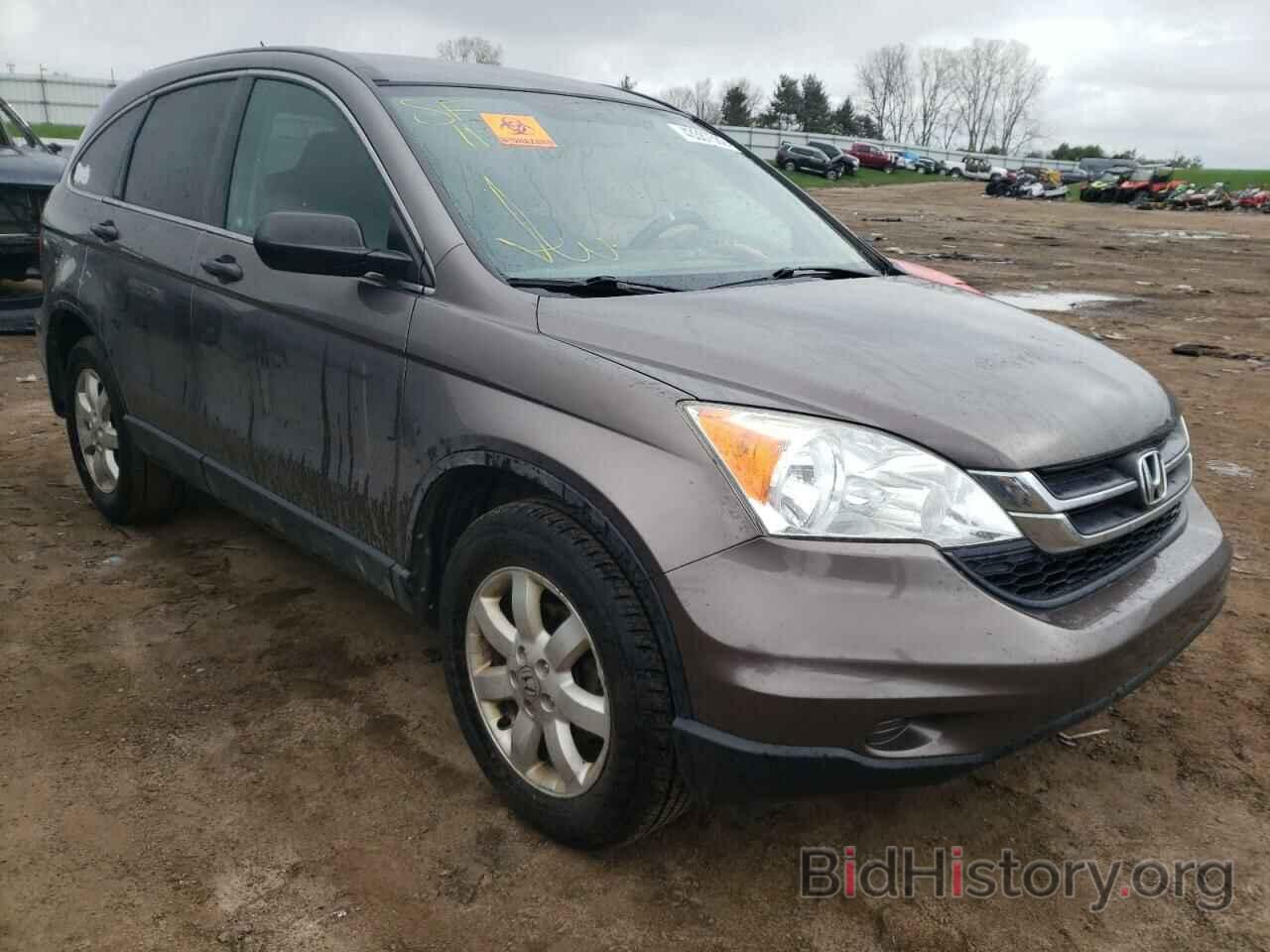 Photo 5J6RE4H41BL042065 - HONDA CRV 2011