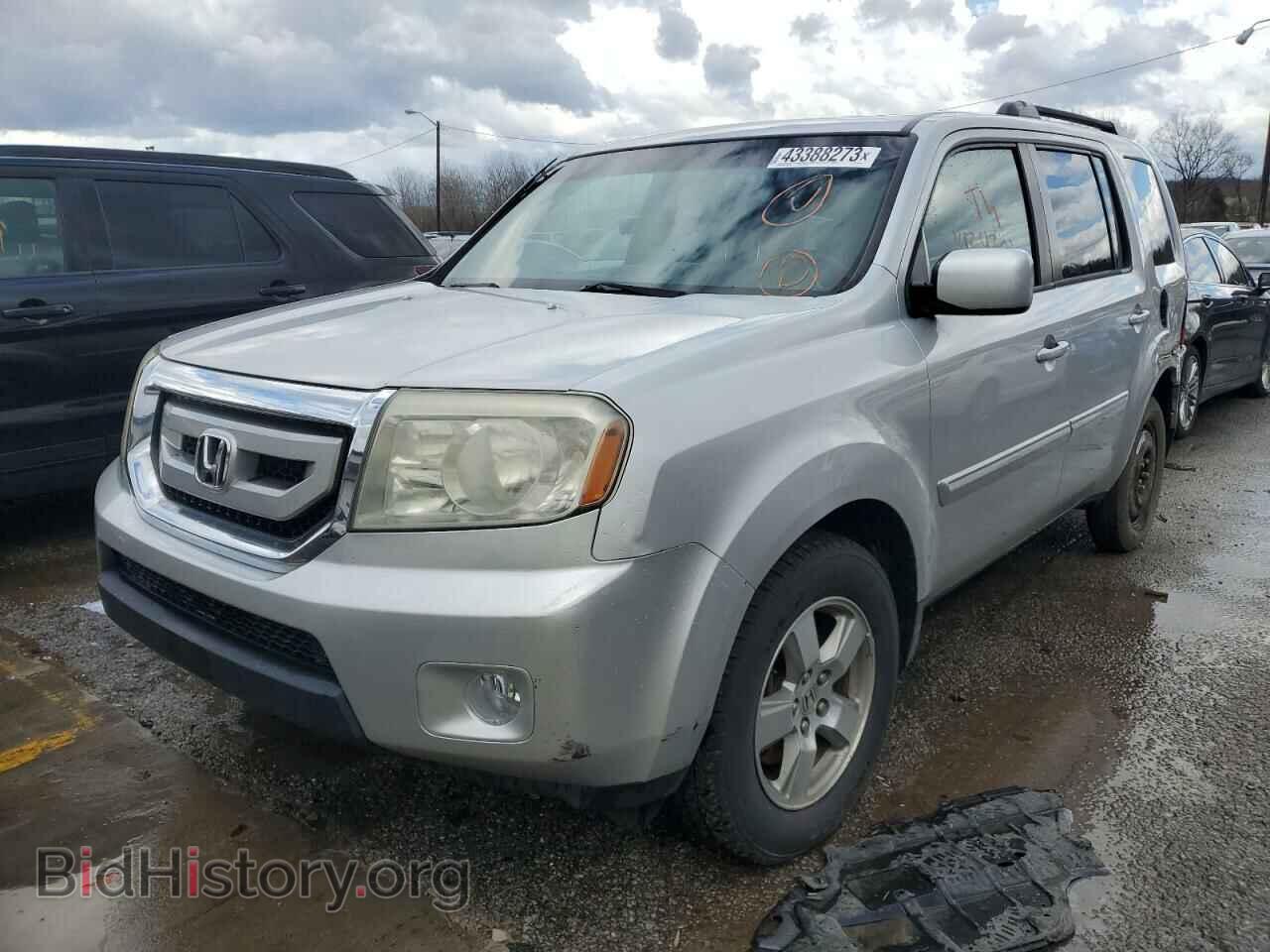 Photo 5FNYF38539B020955 - HONDA PILOT 2009