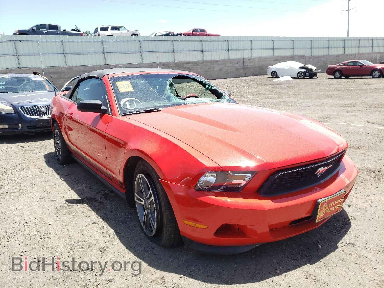 Photo 1ZVBP8EM8C5279555 - FORD MUSTANG 2012