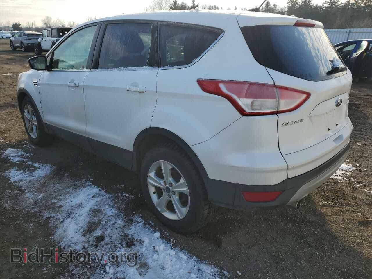 2013 FORD ESCAPE - VIN: 1FMCU0GXXDUB86807 - Фото 2