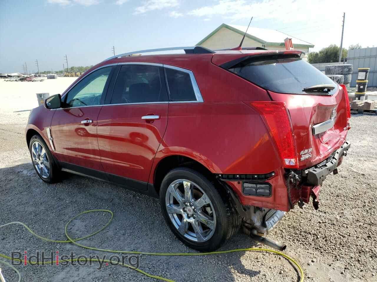 2012 CADILLAC SRX - VIN: 3GYFNBE35CS617363 - Фото 2