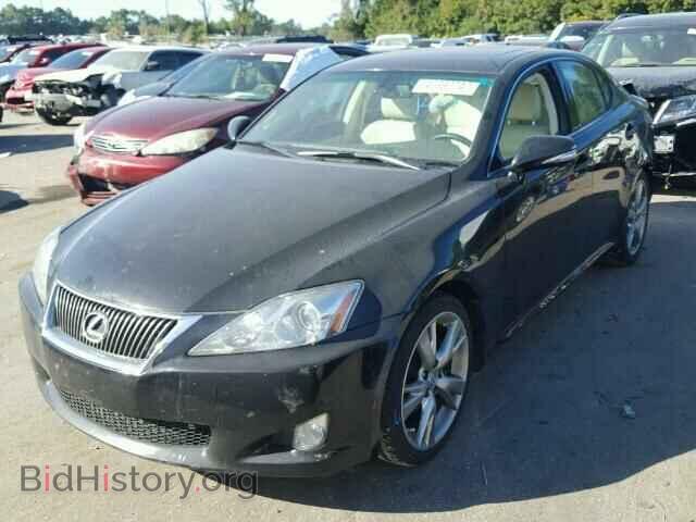 2010 LEXUS IS 250 - VIN: JTHBF5C26A5115335 - Фото 2