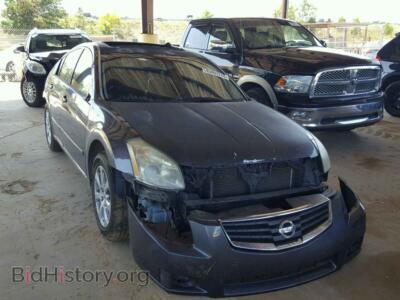 2007 Nissan MAXIMA Maxima SE, серый — VIN 1N4BA41E27C857832, Copart