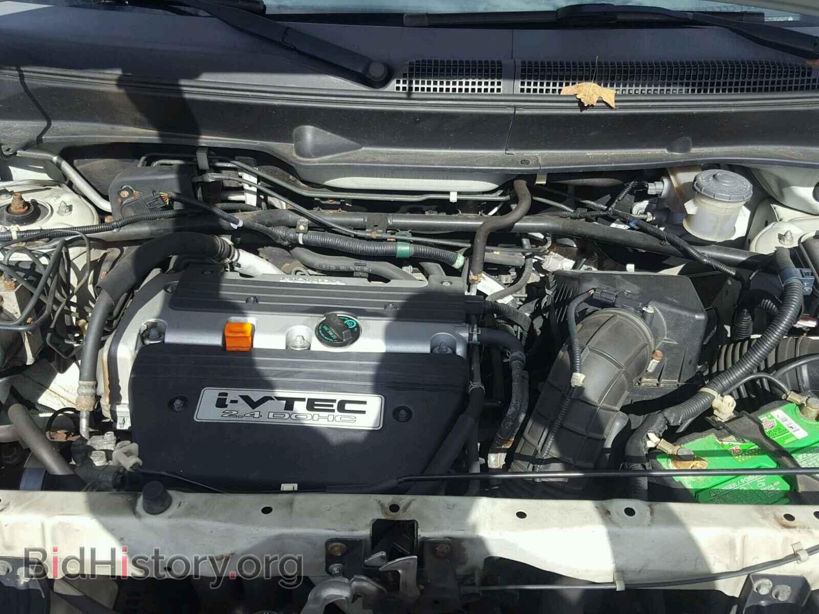 2009 HONDA ELEMENT - VIN: 5J6YH18759L000018 - Фото 7