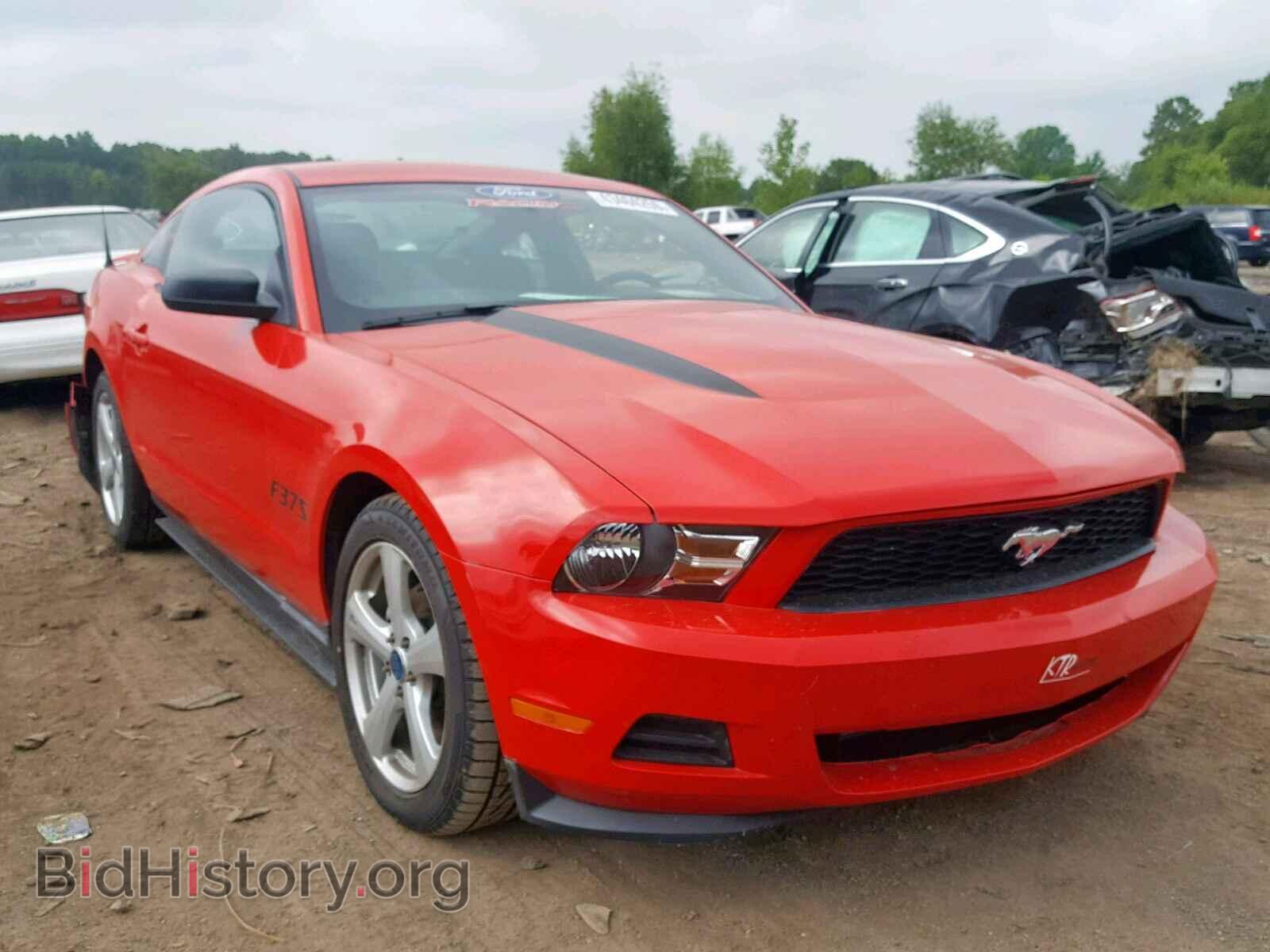 Фотография 1ZVBP8AM4C5253878 - FORD MUSTANG 2012