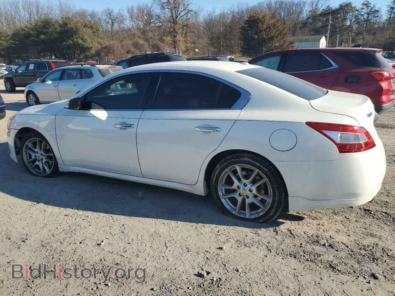 2011 NISSAN MAXIMA - VIN: 1N4AA5AP2BC851671 - Фото 2