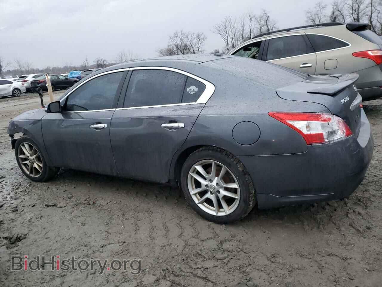 2010 NISSAN MAXIMA - VIN: 1N4AA5AP5AC848181 - Фото 2