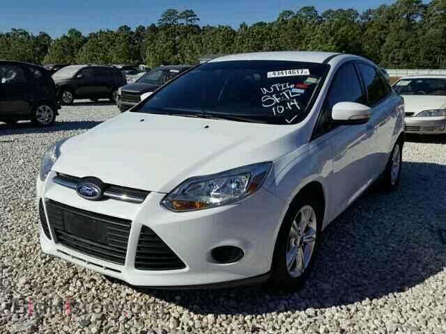 2013 FORD FOCUS - VIN: 1FADP3F25DL283979 - Фото 2