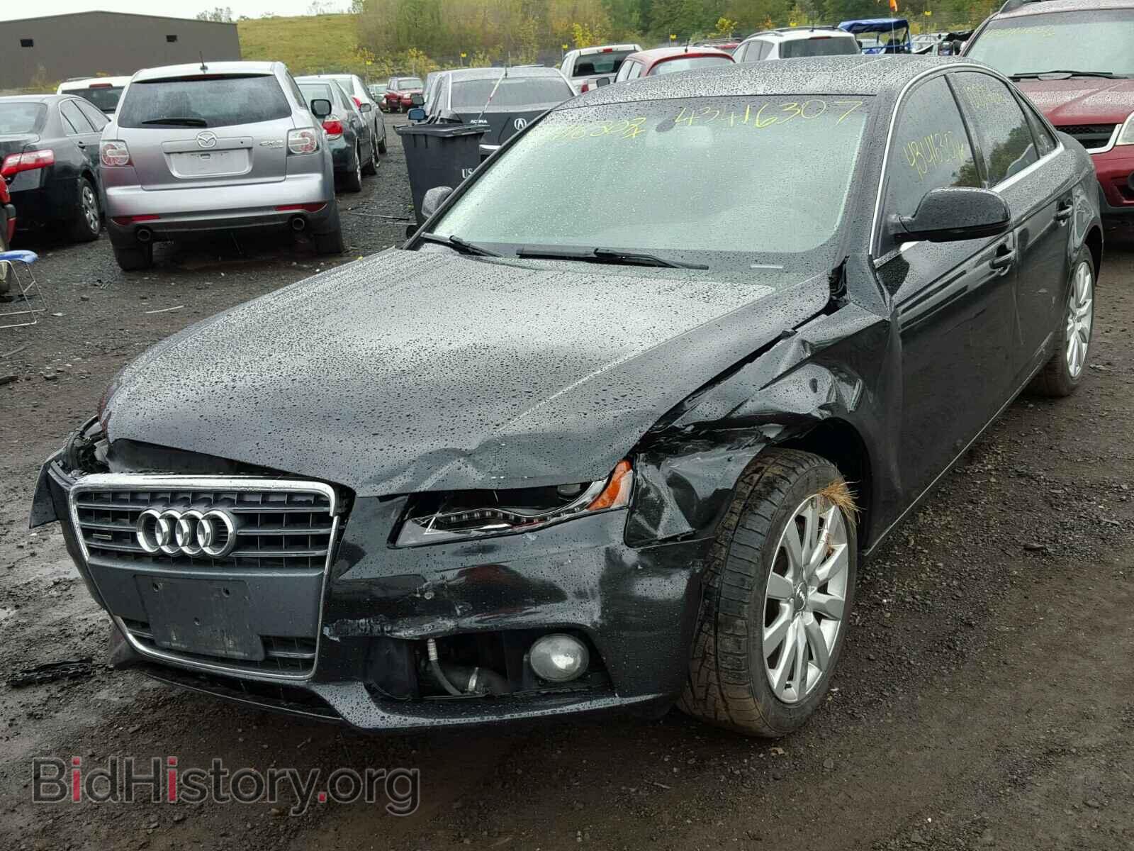 2010 AUDI A4 - VIN: WAUFFAFL0AN014532 - Фото 2