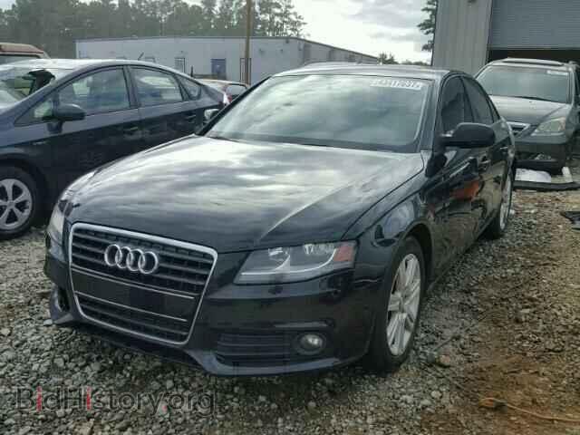 2010 AUDI A4 - VIN: WAUAFAFL7AN036702 - Фото 2