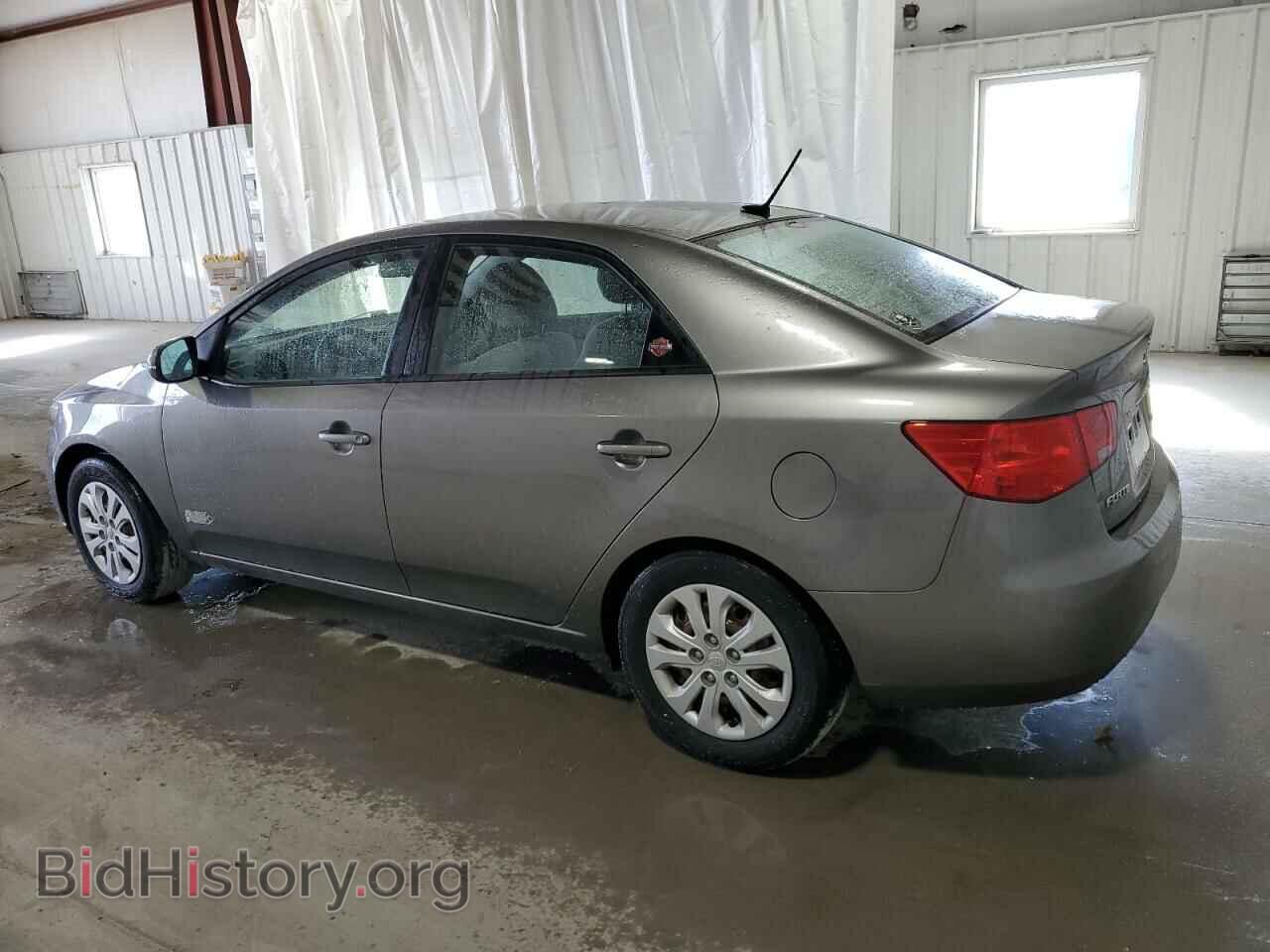 2011 KIA FORTE - VIN: KNAFU4A28B5356964 - Фото 2