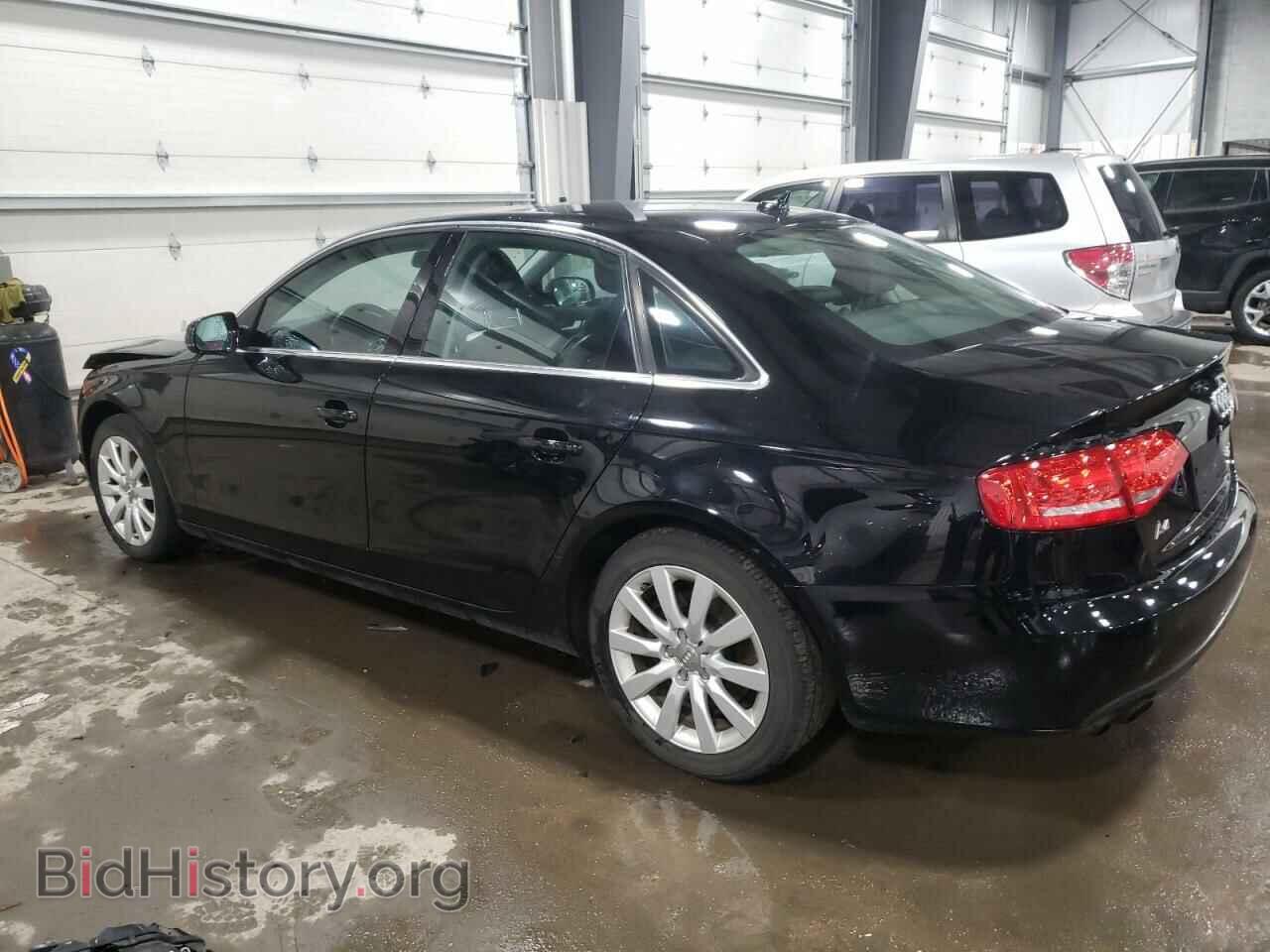 2011 AUDI A4 - VIN: WAUFFAFL3BN019564 - Фото 2