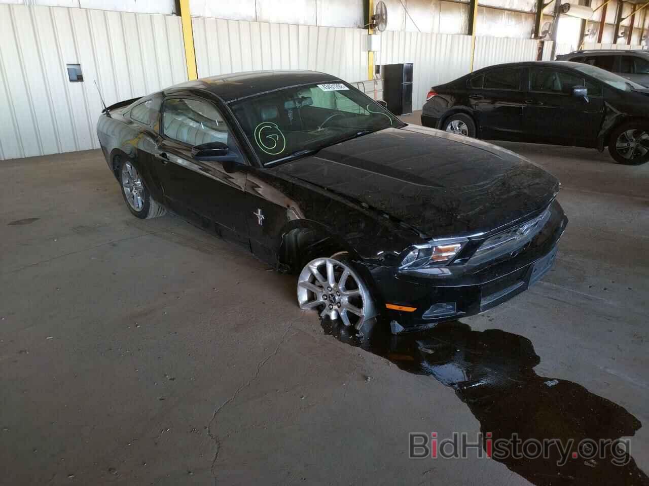 Photo 1ZVBP8AN8A5154292 - FORD MUSTANG 2010