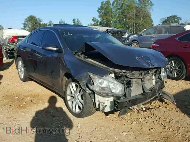 Фотография 1N4AA5AP7BC810677 - NISSAN MAXIMA 2011