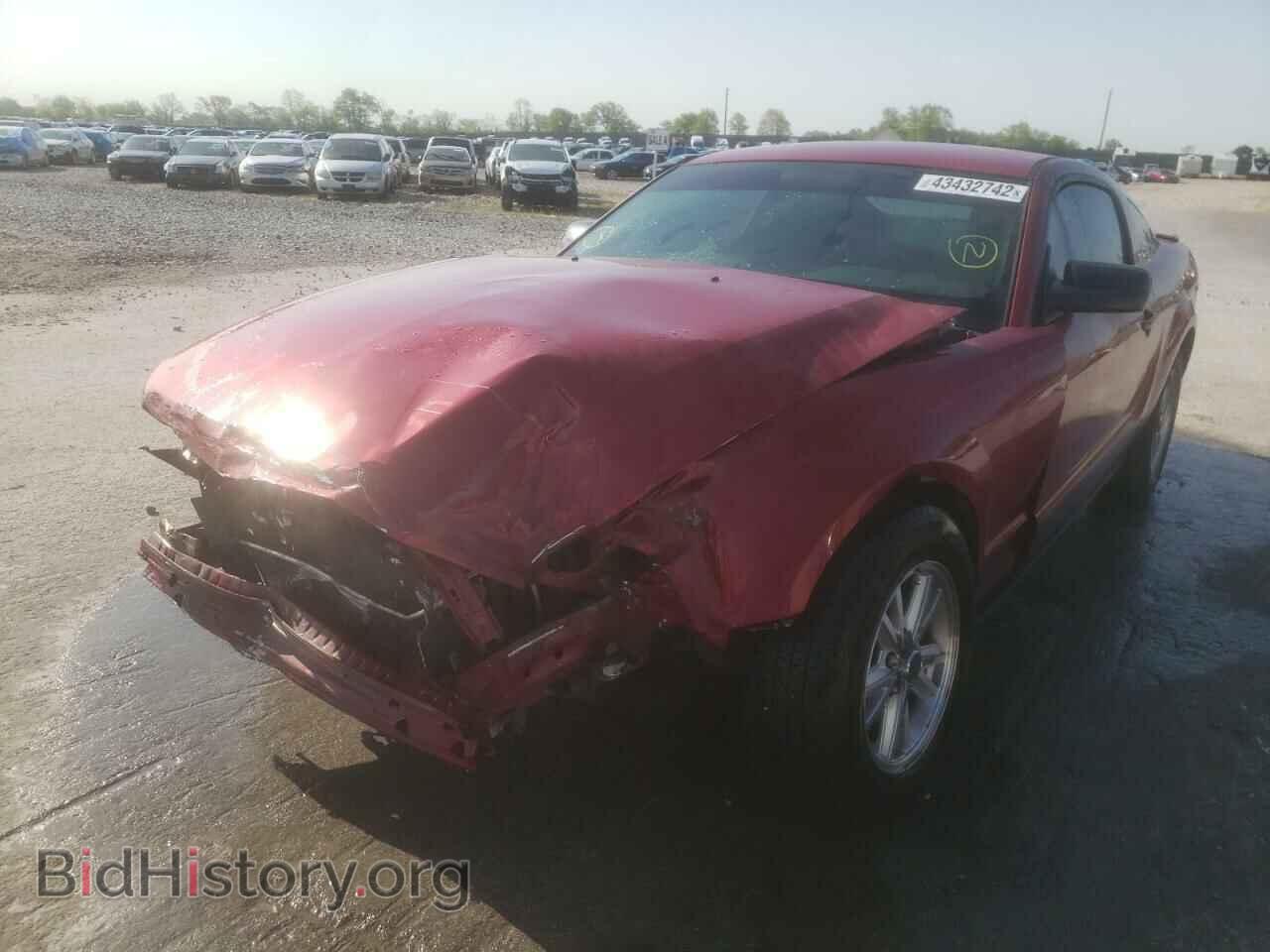 2008 FORD MUSTANG - VIN: 1ZVHT80N585136673 - Фото 2