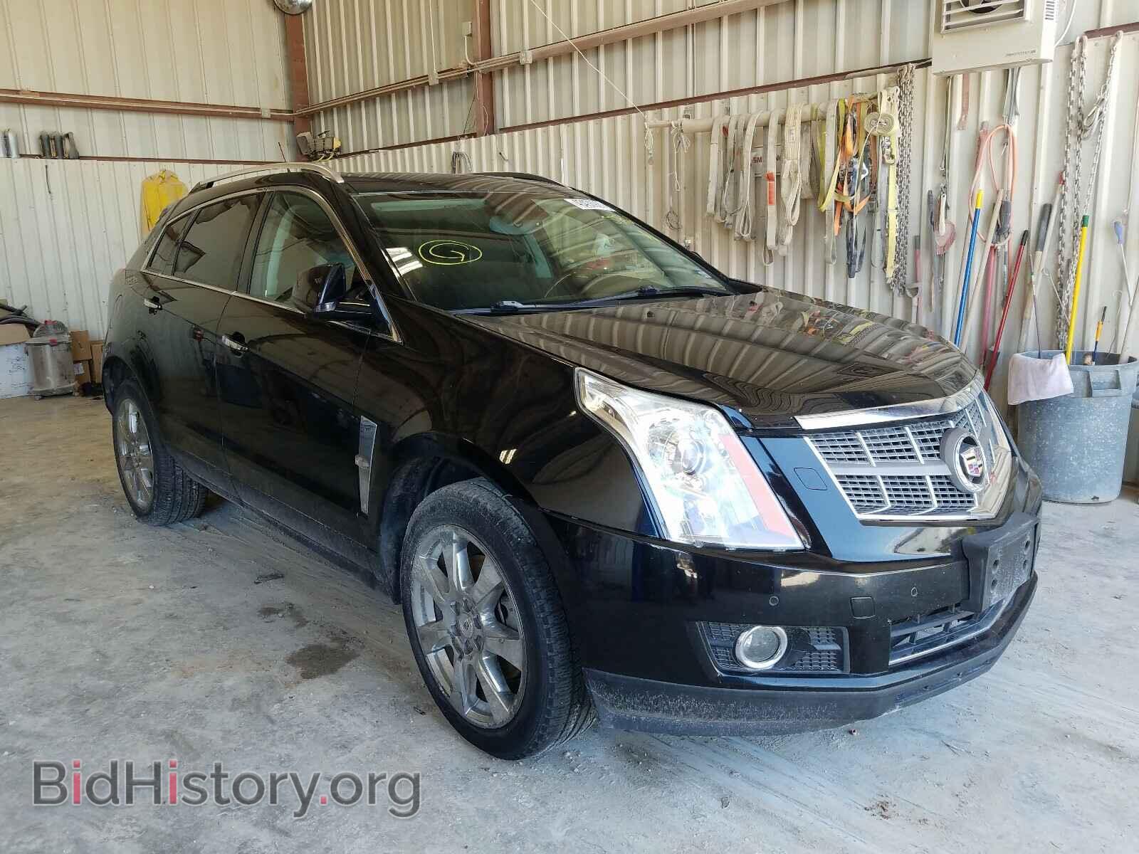Фотография 3GYFNCEY7AS543104 - CADILLAC SRX 2010
