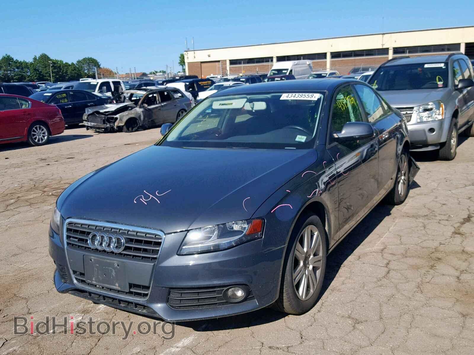 2010 AUDI A4 - VIN: WAUBFAFL1AN059591 - Фото 2