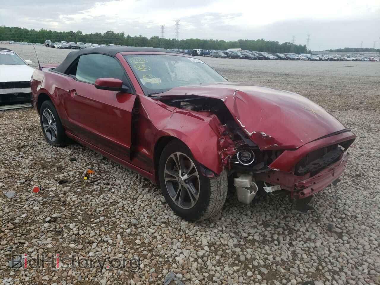 Фотография 1ZVBP8EM8E5272513 - FORD MUSTANG 2014