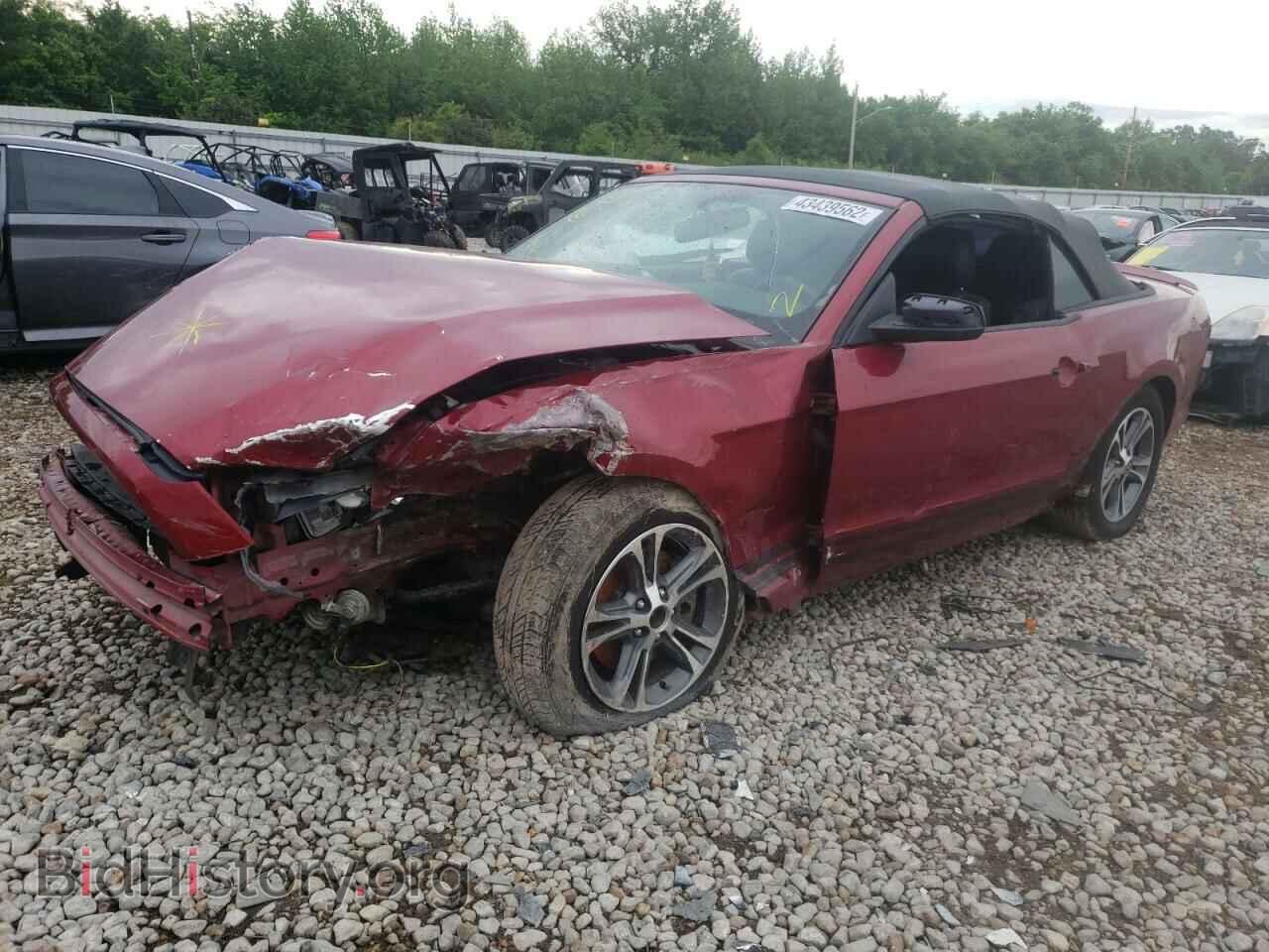 2014 FORD MUSTANG - VIN: 1ZVBP8EM8E5272513 - Фото 2