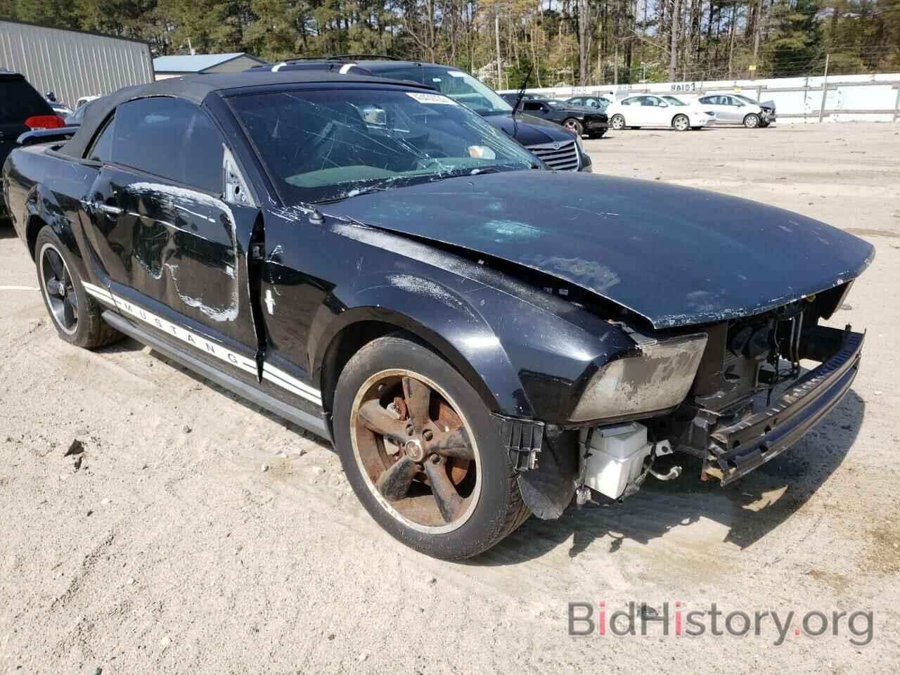 Photo 1ZVFT84N065102414 - FORD MUSTANG 2006