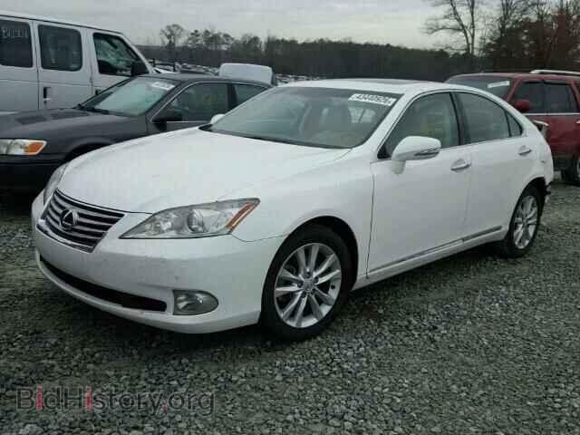 2011 LEXUS ES350 - VIN: JTHBK1EG5B2437304 - Фото 2
