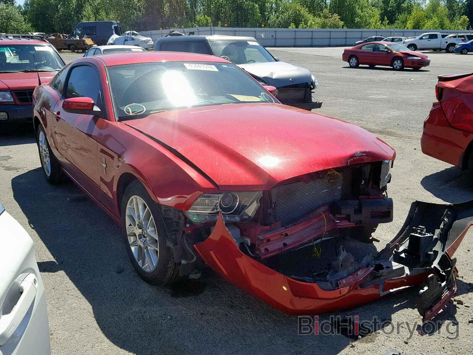 Photo 1ZVBP8AM8D5248183 - FORD MUSTANG 2013