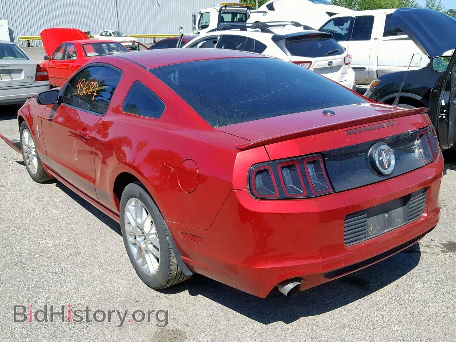 2013 FORD MUSTANG - VIN: 1ZVBP8AM8D5248183 - Фото 3