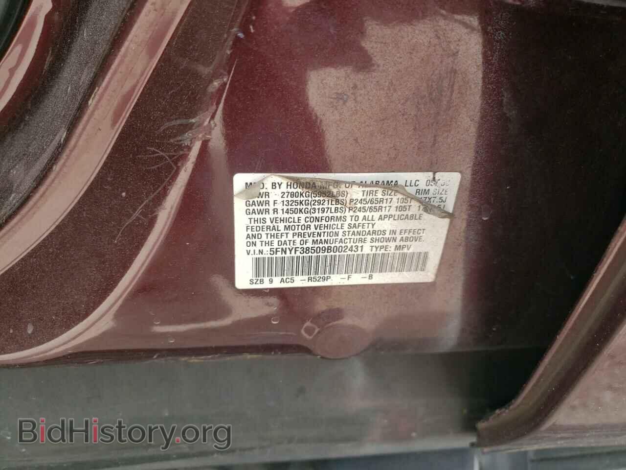 2009 HONDA PILOT - VIN: 5FNYF38509B002431 - Фото 10