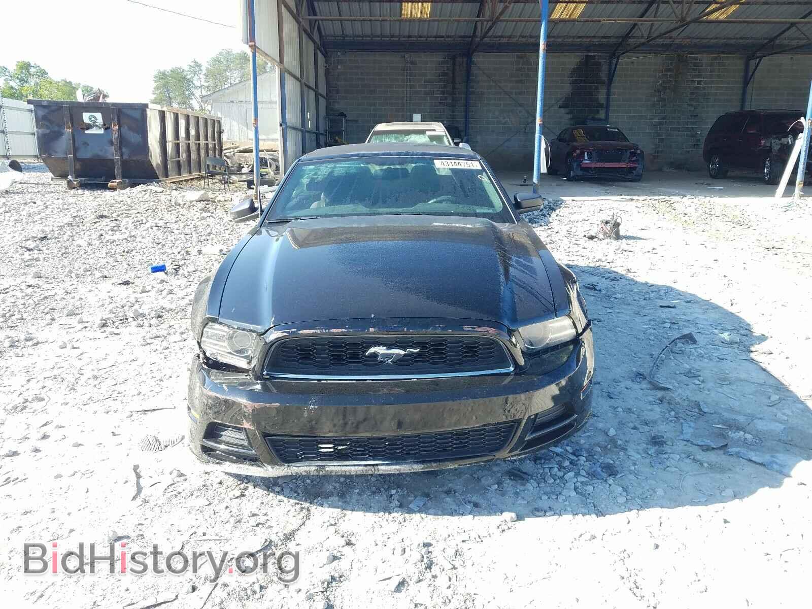 2014 FORD MUSTANG - VIN: 1ZVBP8EM0E5263482 - Фото 9