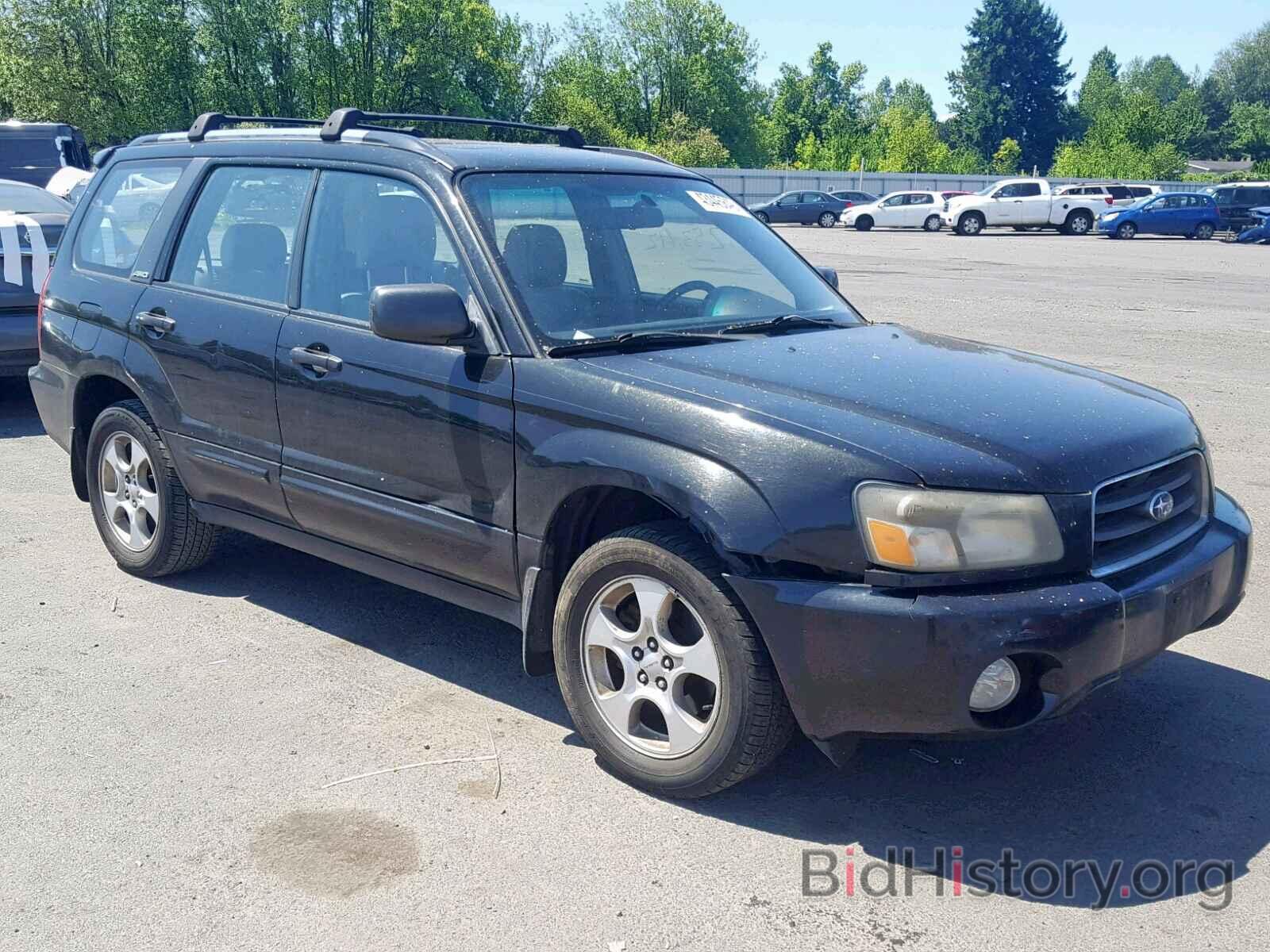 Photo JF1SG65643H772260 - SUBARU FORESTER 2003
