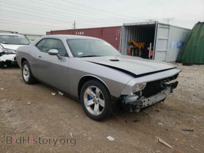 2014 Dodge CHALLENGER, серебристый — VIN 2C3CDYAG8EH233918, Copart