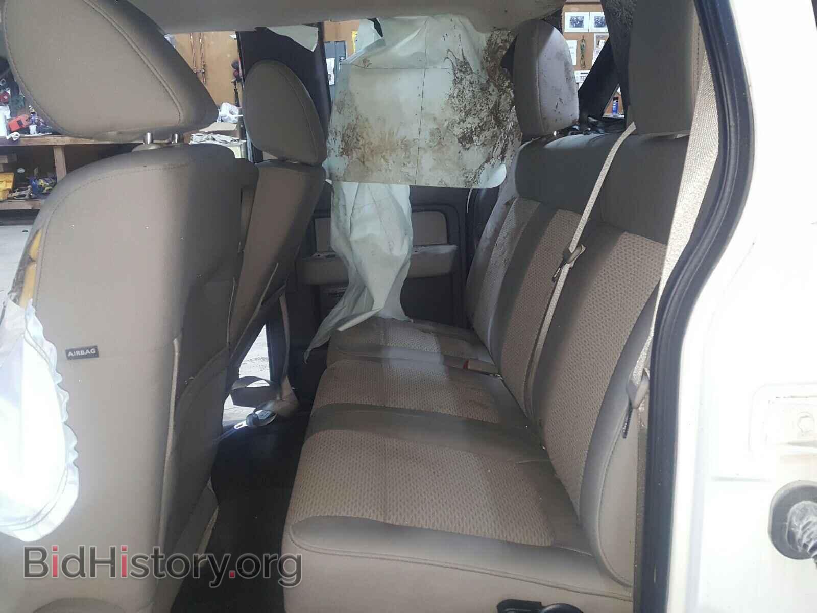 2010 FORD F150 - VIN: 1FTFX1EV5AFC48226 - Фото 6