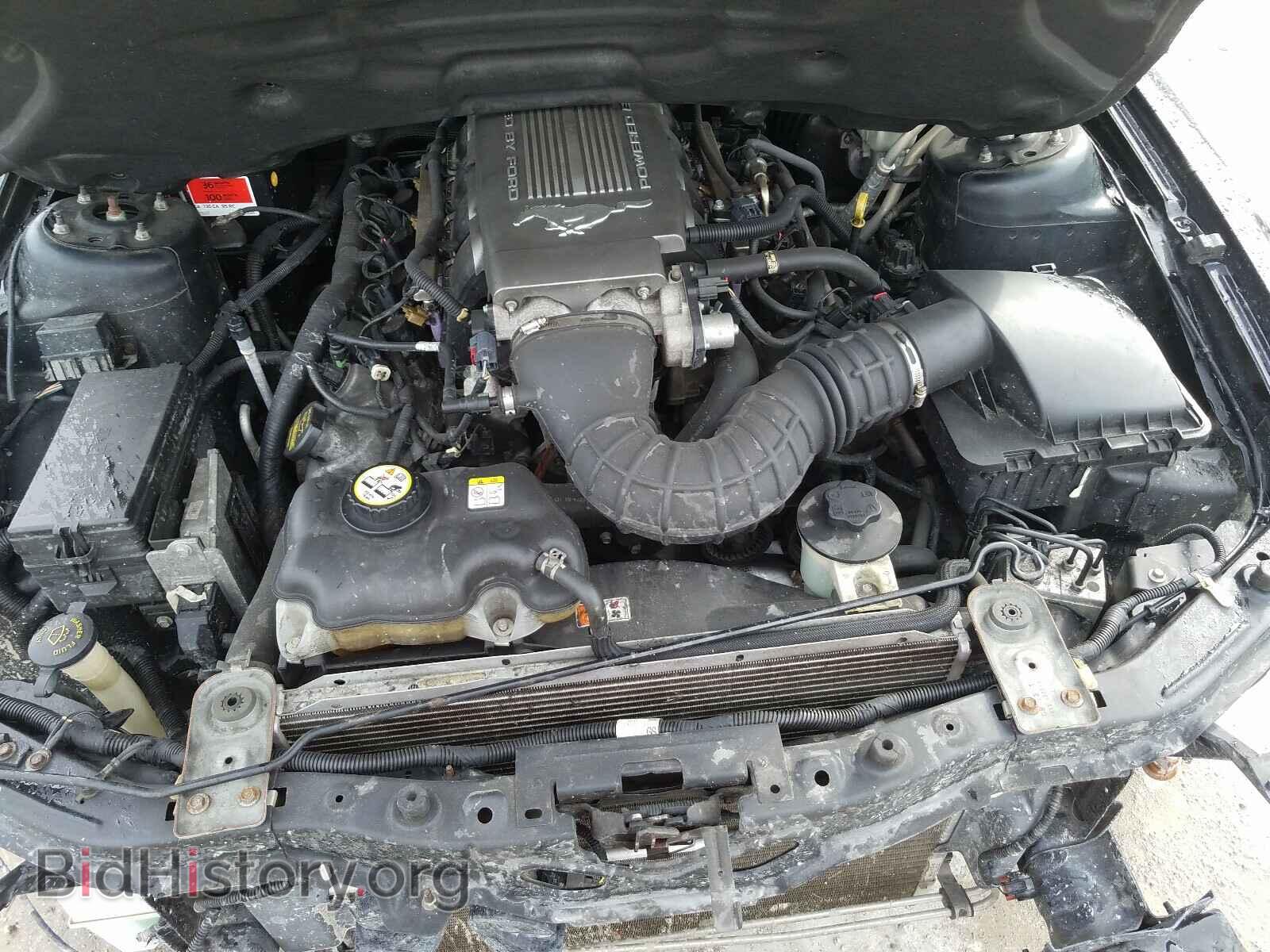 2009 FORD MUSTANG - VIN: 1ZVHT82H695139154 - Фото 7