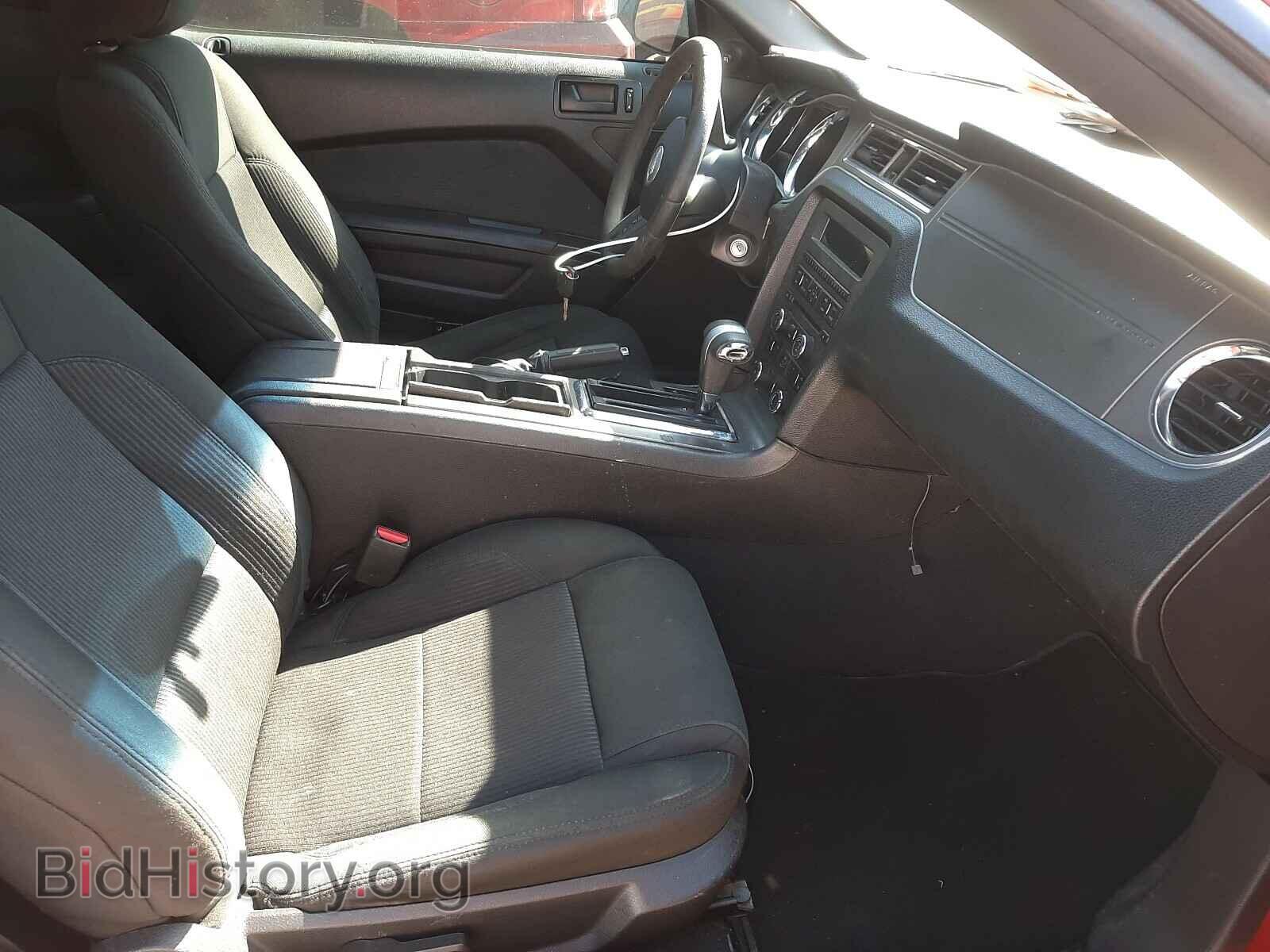 2010 FORD MUSTANG - VIN: 1ZVBP8AN8A5111801 - Фото 5