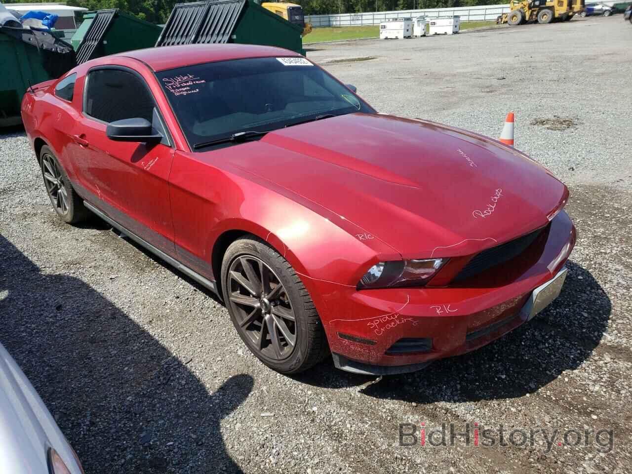 Photo 1ZVBP8AN5A5120486 - FORD MUSTANG 2010