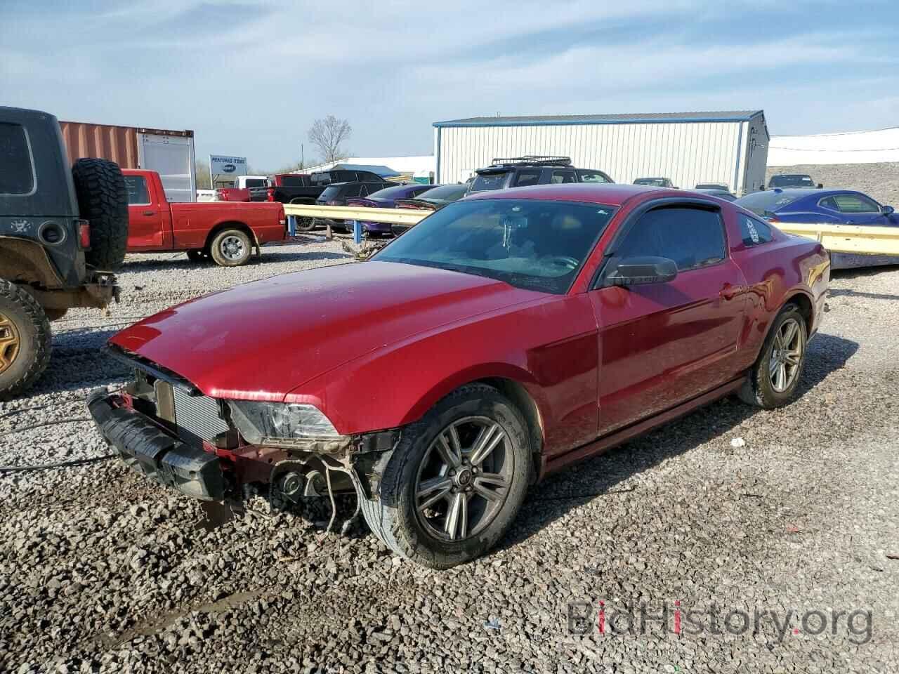 Photo 1ZVBP8AM4E5240731 - FORD MUSTANG 2014
