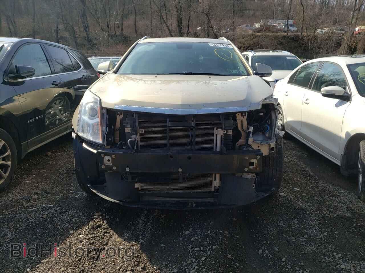 2012 CADILLAC SRX - VIN: 3GYFNDE35CS501916 - Фото 5