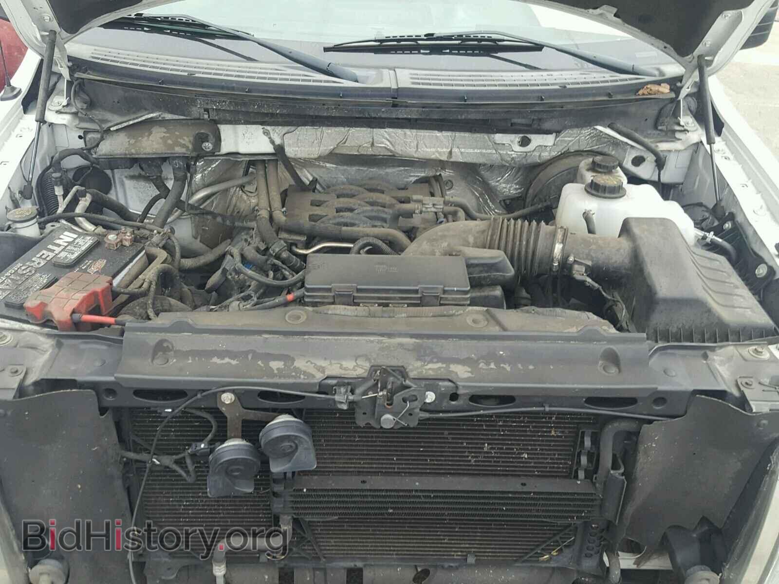 2011 FORD F150 - VIN: 1FTMF1CF1BFC30586 - Фото 7