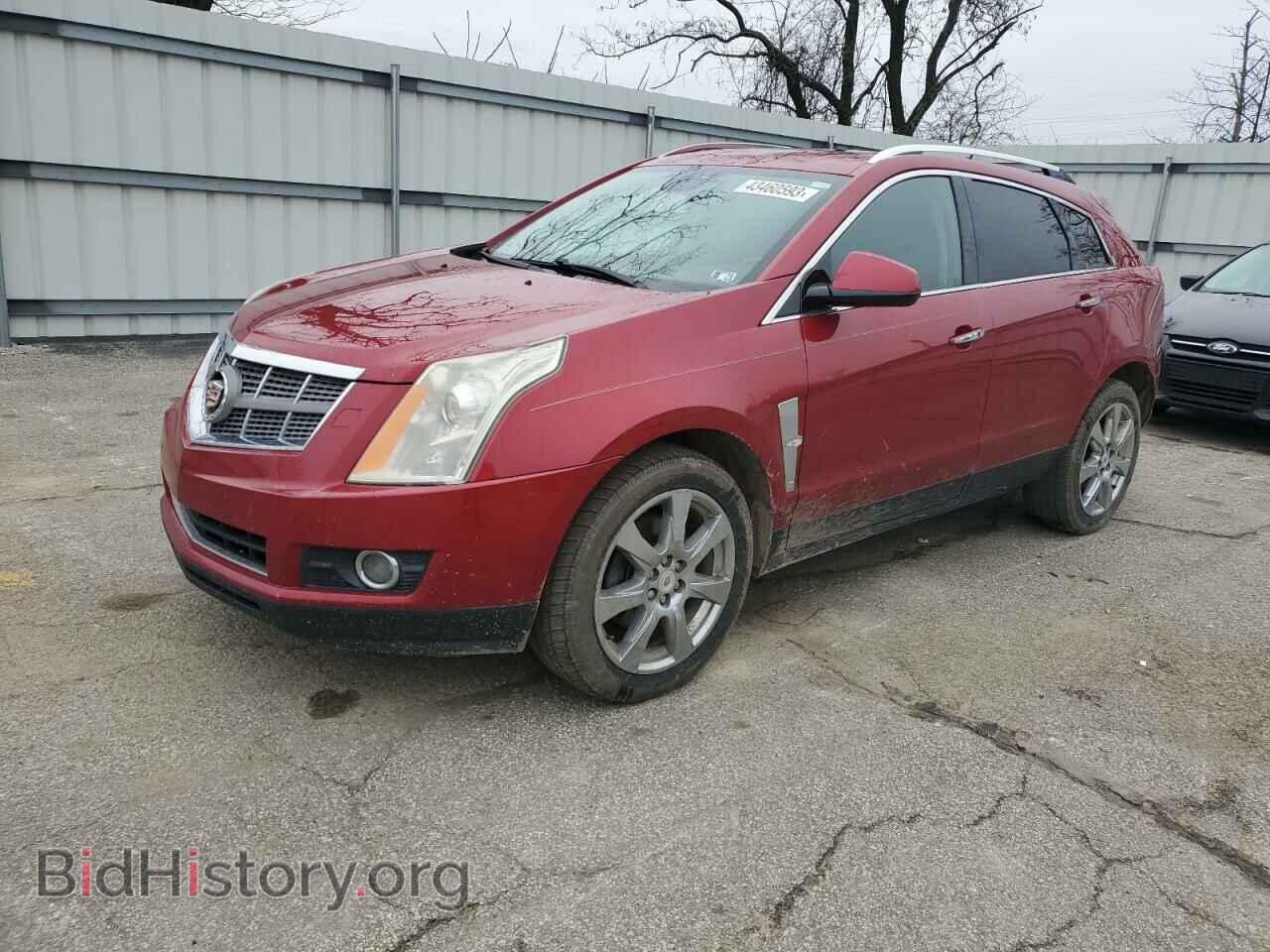 Фотография 3GYFNFEY7AS555545 - CADILLAC SRX 2010