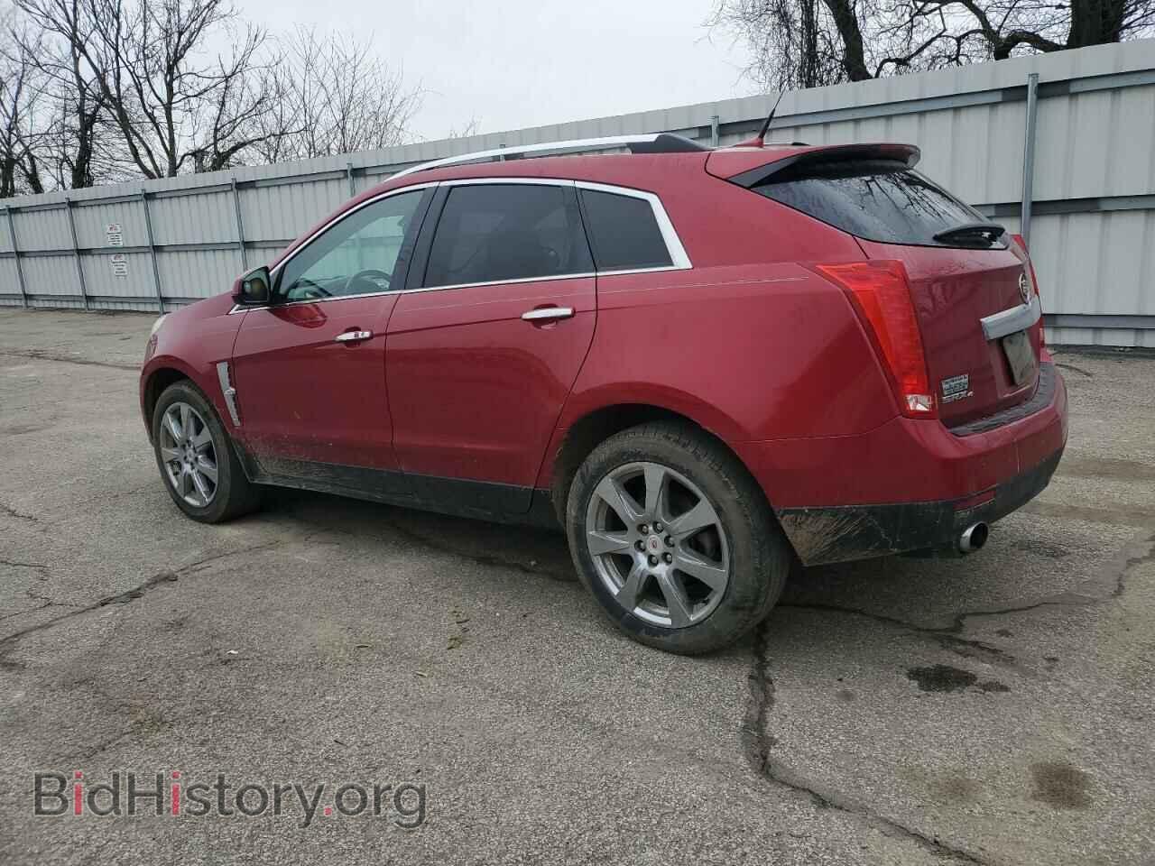 2010 CADILLAC SRX - VIN: 3GYFNFEY7AS555545 - Фото 2
