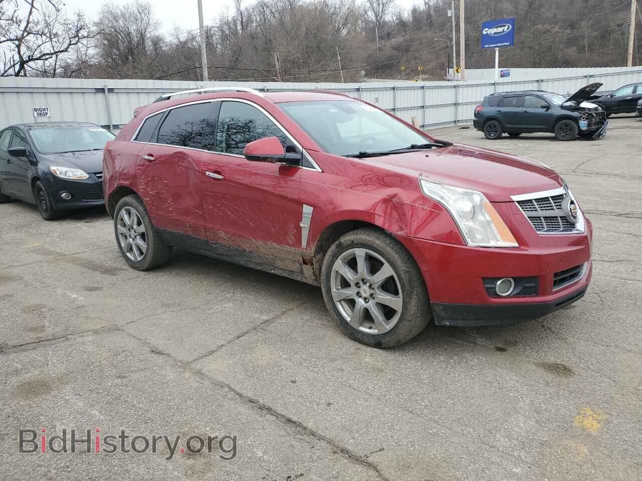 2010 CADILLAC SRX - VIN: 3GYFNFEY7AS555545 - Фото 4